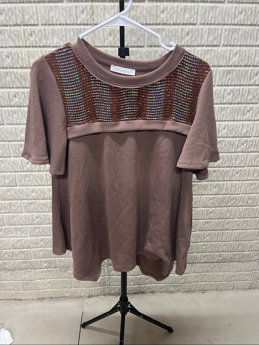 chic Mauve Sequin Yoke Short Sleeve Top
